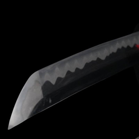 SWK-1067 Swordier Steel-Clad Hand-Polished Katana SWK-1067 Swordier Steel-Clad Hand-Polished Katana