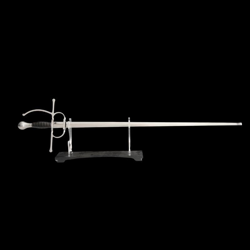 SWHZ-1015 Swordier HEMA Sidesword – Spring Steel Blade, Side Ring Guard | Sparring & Training Sword for Historical European Martial Arts