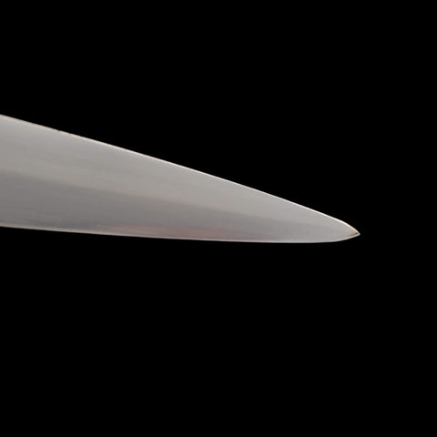 SWMZ-1037 Medieval Fantasy Warrior Longsword with Scabbard